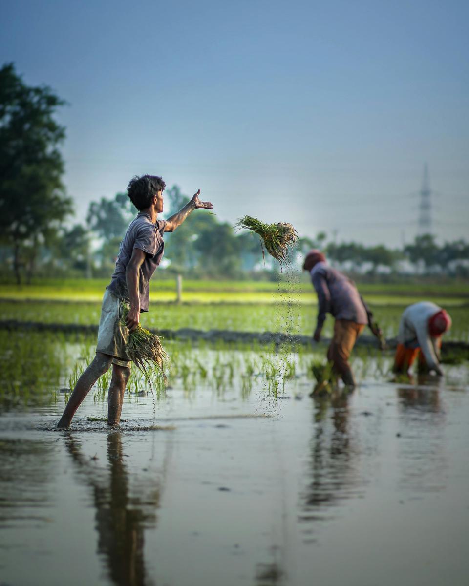Rural business