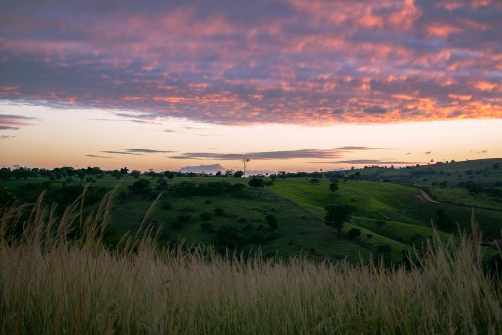 rural landscape